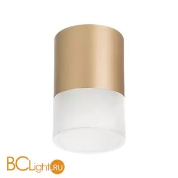 Спот Lightstar Rullo R349081