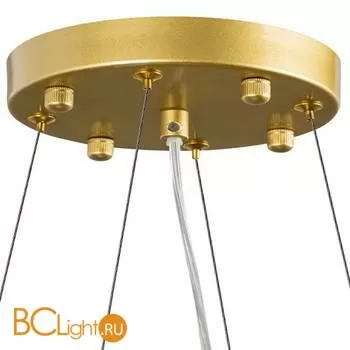 Подвесной светильник Lightstar Savona 816102 - Фото 2