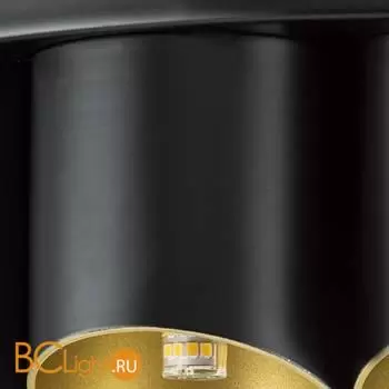 Потолочный светильник Lightstar Siena new 720227 - Фото 2