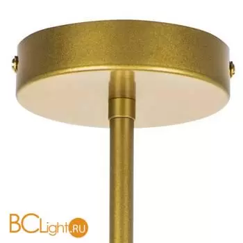 Потолочный светильник Lightstar Siena new 720082 - Фото 4