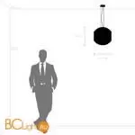 Подвесной светильник Lightstar Siena new 720447 - Фото 0