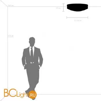 Потолочный светильник Lightstar Siena new 720402 - Фото 4