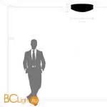 Потолочный светильник Lightstar Siena new 720402 - Фото 4