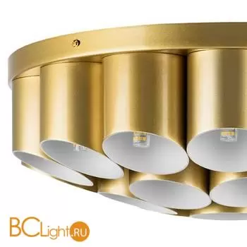 Потолочный светильник Lightstar Siena new 720222 - Фото 1