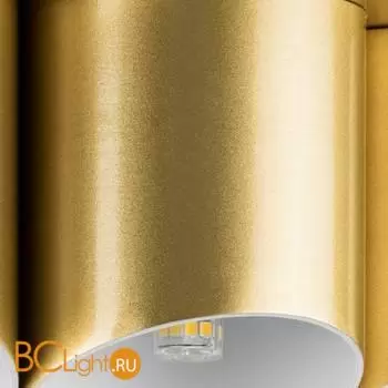 Потолочный светильник Lightstar Siena new 720222 - Фото 3