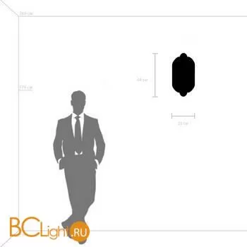 Настенный светильник Lightstar Siena 720667 - Фото 0