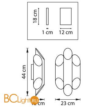 Настенный светильник Lightstar Siena 720662 - Схема