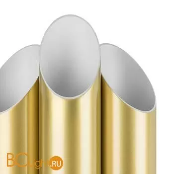 Настенный светильник Lightstar Siena 720662 - Фото 1