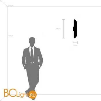 Настенный светильник Lightstar Siena 720627 - Фото 0