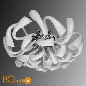 Потолочный светильник Lightstar Stella 892166