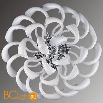 Потолочный светильник Lightstar Stella 892166 - Фото 1