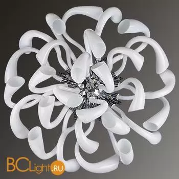 Потолочный светильник Lightstar Stella 892166 - Фото 2