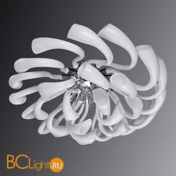 Потолочный светильник Lightstar Stella 892166 - Фото 0