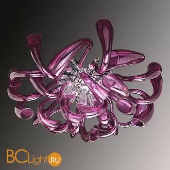 Потолочный светильник Lightstar Stella 892168 - Фото 0