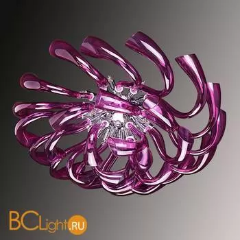 Потолочный светильник Lightstar Stella 892168