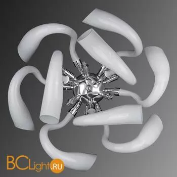 Настенный светильник Lightstar Stella 892666