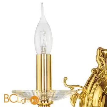 Бра Lightstar Stregaro 694622 - Фото 1