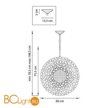 Подвесной светильник Lightstar Verona 727081 - Схема