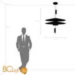 Подвесной светильник Lightstar Viola 814531 - Фото 4