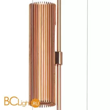 Подвесной светильник Lightstar Viola 814532 - Фото 4