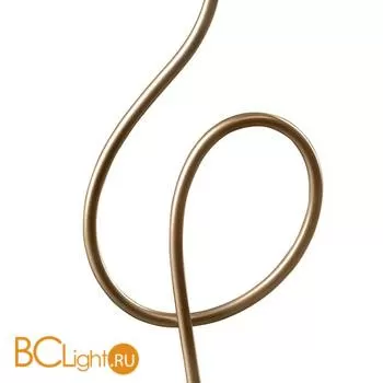 Настольная лампа Lightstar Vortico 814913 золото шампань - Фото 1