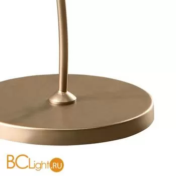 Настольная лампа Lightstar Vortico 814913 золото шампань - Фото 2