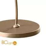 Настольная лампа Lightstar Vortico 814913 золото шампань - Фото 2