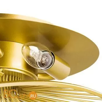 Потолочный светильник Lightstar Zeta 728133 - Фото 1