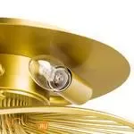 Потолочный светильник Lightstar Zeta 728133 - Фото 1