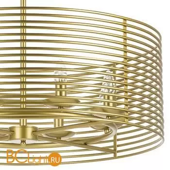 Потолочный светильник Lightstar Zeta 728043 - Фото 1