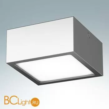 Накладной светодиодный светильник Lightstar Zolla 213924