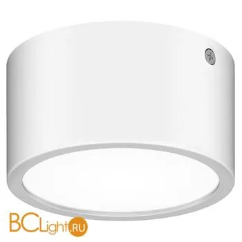 Светильник уличный потолочный светодиодный Lightstar Zolla 380164