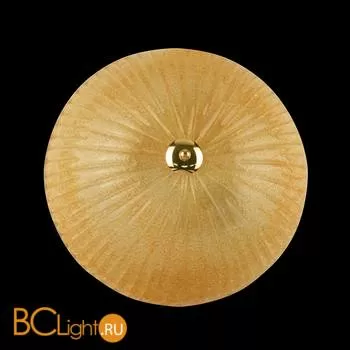 Потолочный светильник Lightstar Zucche 820833 - Фото 0