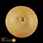 Потолочный светильник Lightstar Zucche 820833 - Фото 0