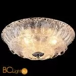 Потолочный светильник Lightstar Zucche 820234