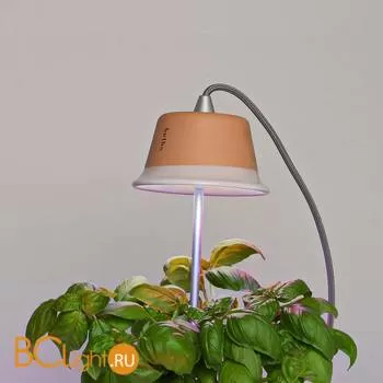 Подвесной светильник Linea Light Chlorophyll Bulbo 8010 - Фото 2