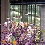 Подвесной светильник Linea Light Chlorophyll Bulbo 8010 - Фото 3