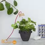 Подвесной светильник Linea Light Chlorophyll Bulbo 8010 - Фото 0
