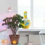 Подвесной светильник Linea Light Chlorophyll Bulbo 8011 - Фото 1