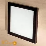 Настенно-потолочный светильник Linea Light Frame 71906