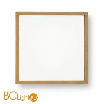 Настенно-потолочный светильник Linea Light Frame 71901