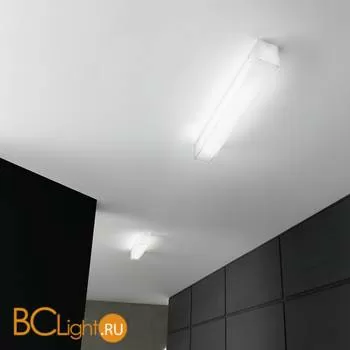 Потолочный светильник Linea Light Glued 90303 - Фото 0