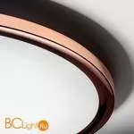 Потолочный светильник Linea Light Hinomaru 8607 - Фото 1