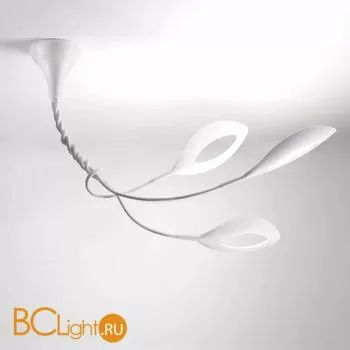 Потолочный светильник Linea Light Folia 6792 - Фото 0