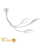 Потолочная люстра Linea Light Folia 7425