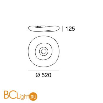 Потолочный светильник Linea Light Mr Magoo 8006N - Схема