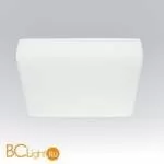Настенно-потолочный светильник Linea Light MyWhite 8162