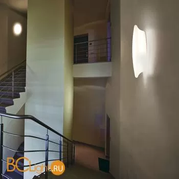 Настенно-потолочный светильник Linea Light MyWhite 7805N - Фото 1