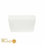 Настенно-потолочный светильник Linea Light MyWhite 8162N