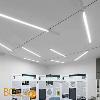 Подвесной светильник Linea Light Orient 59734 - Фото 2